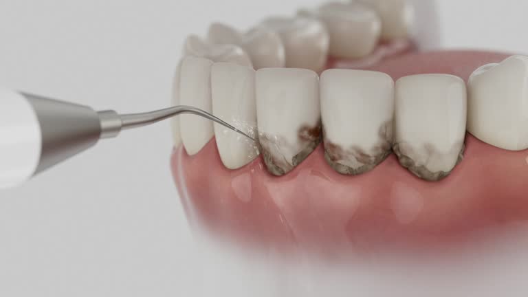 Reliable Dental contractor in Adelphi, MD by Dentist Open Now